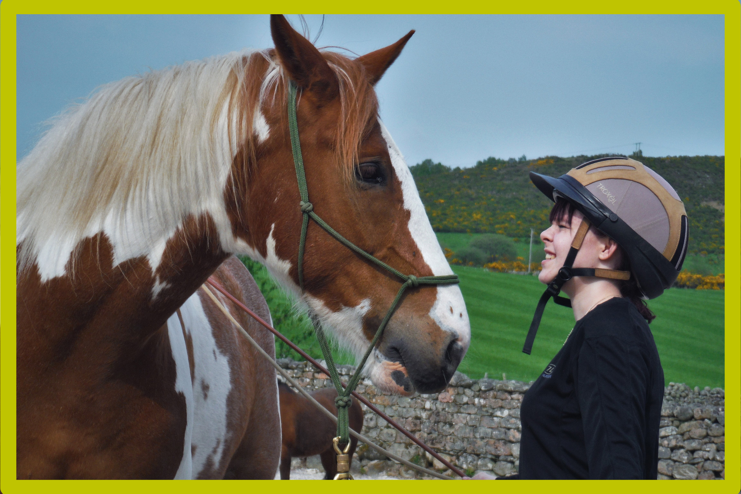 Horse Horse